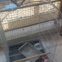 قفس پرنده