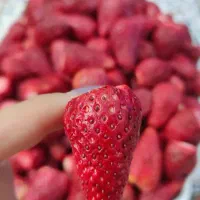 توتفرنگی خشک بهنمیر فریزدرایر، میوه خشک،بستنی خشک|خوردنی و آشامیدنی|تهران, باشگاه نفت|دیوار