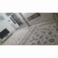 فرش ۷۰۰ شونه ۱۲ متری|فرش|قم, نیروگاه|دیوار