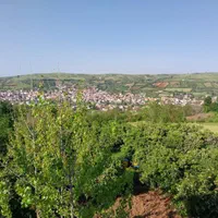 اجاره روزانه/هفتگی/ماهانه ویلا ۱۰۵ متری|اجارهٔ کوتاه‌مدت ویلا و باغ|ساری, |دیوار