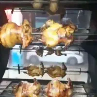 فر بریان زغالی گازی