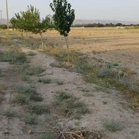 زمین کشاورزی متراژ۷۱۵ متر|فروش زمین و ملک کلنگی|مشهد, گلبرگ شمالی|دیوار