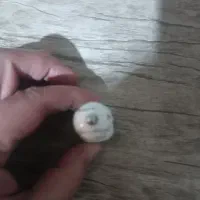 شارژر فندکی فست شارژ،توافقی|لوازم جانبی موبایل و تبلت|تهران, شهرک فرهنگیان|دیوار