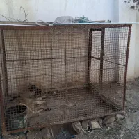 قفس سگ قفس بزرگ قفس پرنده قفس آهنی