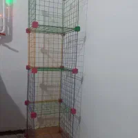 شلف و قفسه کتاب