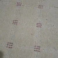 موکت  فروش فوری