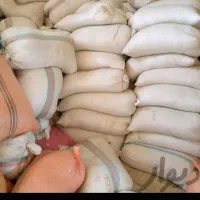 فروش سبوس برنج وکاه