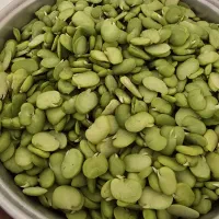 باقالی پاک شده روز