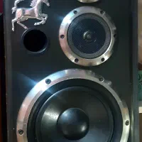 باند اسپیکر Panasonic