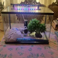 آکواریوم شیشه خم ۵۵ لیتری با لوازم کامل