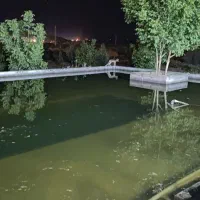 4هکتار کارگاه، باغ شهری، باغ انجیر، سوله، سردخانه|فروش دفتر صنعتی، کشاورزی، تجاری|شیراز, شهرک صنعتی شیراز|دیوار