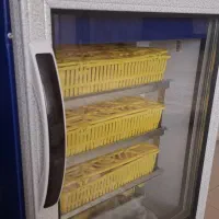 دستگاه جوجه کشی