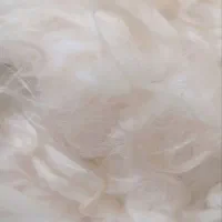 پشم شسته شده تمیز