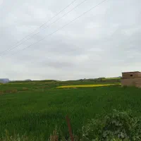 زمین فروشی