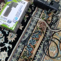 تصفیه ماهی