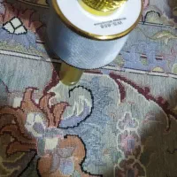 اسپیکر میکروفن دار