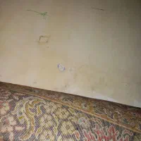 قالی 12متری