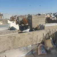 کبوتر|پرنده|قروه, |دیوار