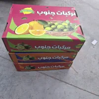 تولید کارتن