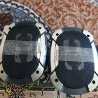 باندضبت