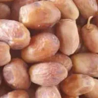 خرمایی زاهدی طلای شیرین جنوب|خوردنی و آشامیدنی|کاشان, ولیعصر|دیوار