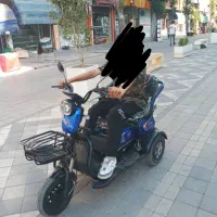 موتور برقی شارزی