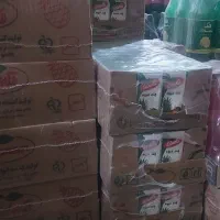 منشی|استخدام اداری و مدیریت|نیشابور, دربقاضی|دیوار