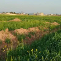 فروش یک قطعه زمین مسکونی در تازه آباد اکبر آباد|فروش زمین و ملک کلنگی|کوهدشت, |دیوار