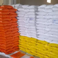 برنج کشت دوم فریدونکنار|خوردنی و آشامیدنی|آمل, |دیوار