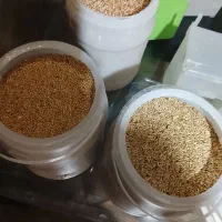 لوازم ضروری پرنده همه چیز موجوده حتی اسباببازی|لوازم جانبی حیوانات|مشهد, دانشجو|دیوار