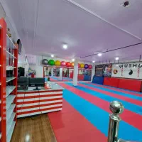 باشگاه ورزشی یاران