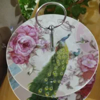 ظروف پذیرایی|ظروف سرو و پذیرایی|رشت, آب و برق|دیوار