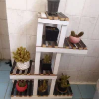 استند گل مناسب کاکتوس