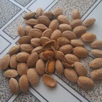 بادام شیرین امسالی درجه یک