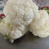 گلی کلم|خوردنی و آشامیدنی|رباطکریم, رباطکریم|دیوار