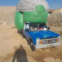 کاه|حیوانات مزرعه|شیراز, داریون|دیوار