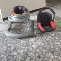 یک عدد روروئک سالم