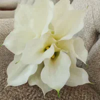 دسته گل عروس|گل مصنوعی|بندر گناوه, |دیوار