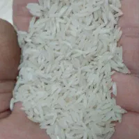 برنج محلی فجر و طارم