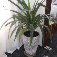 تعدادی وسیله منزل