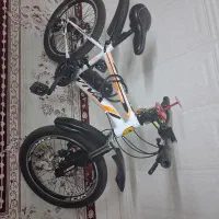 دوچرخه ۲۲ ویوا