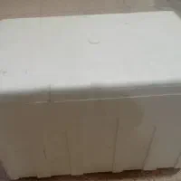ظروف نگهدارنده یخدان