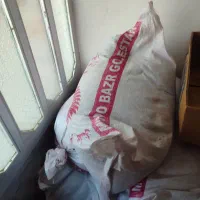 بذر گندم هراز دولتی