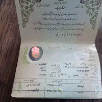 شناسنامه و مقداری پول پیدا شده