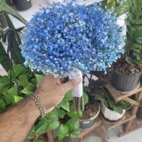دسته گل عروس|گل و گیاه طبیعی|شیراز, خلدبرین|دیوار
