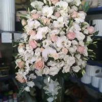 گل برای روز عشق همین الان براش سفارش بده|گل و گیاه طبیعی|شاهین‌شهر, عطار|دیوار
