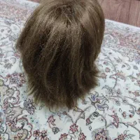 کلاه گیس