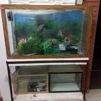 آکواریم|لوازم جانبی حیوانات|مشهد, امیریه|دیوار