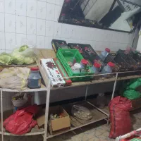 فروش لوازم میوه فروشی|فروشگاه و مغازه|قوچان, |دیوار