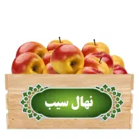 پیش فروش نهال هلو و شلیل ، سیب ، گلابی|گل و گیاه طبیعی|سمیرم, |دیوار